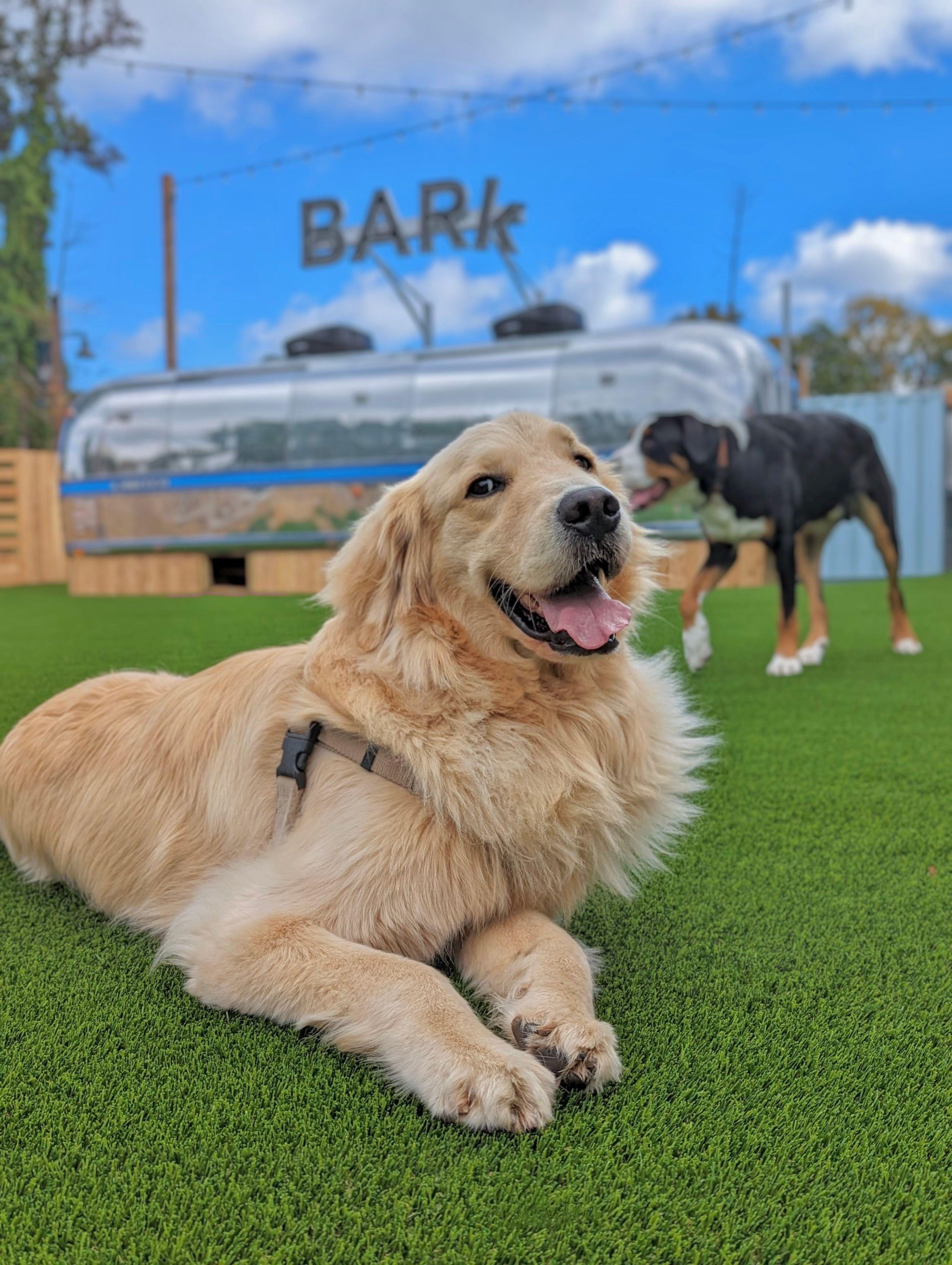 Fetch Park @ The Works